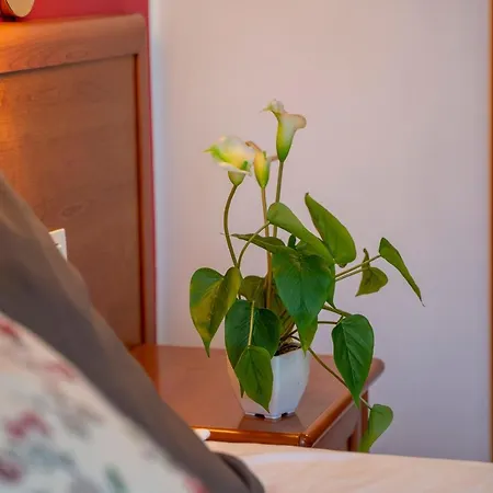 게스트하우스 Il Passetto 4*